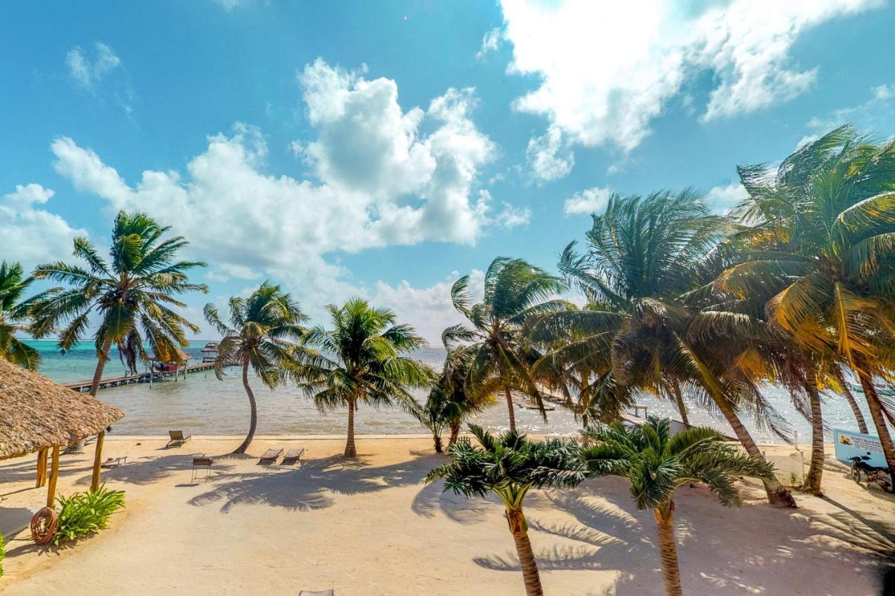 Апартаменти Palm @ Caribe Island Сан-Педро Екстер'єр фото